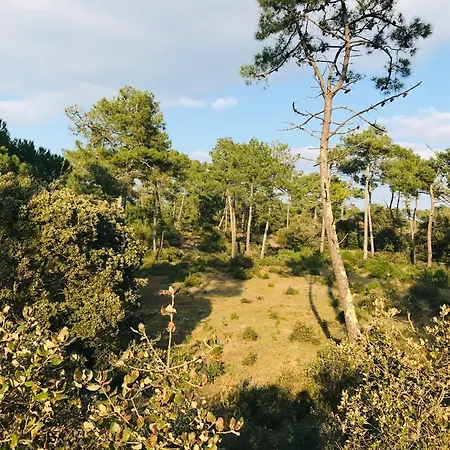 Le Centre Bourg, Situation Revee Saint-Jean-de-Monts