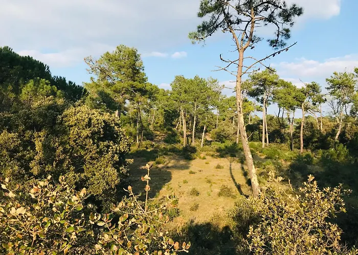 Le Centre Bourg, Situation Revee Сен-Жан-де-Мон